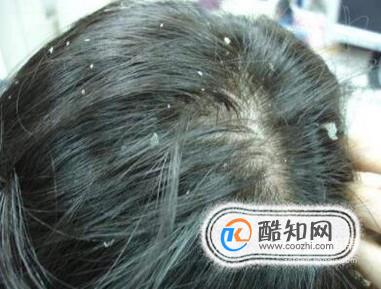 ���ʶ��ͷ���Ƿ�����������